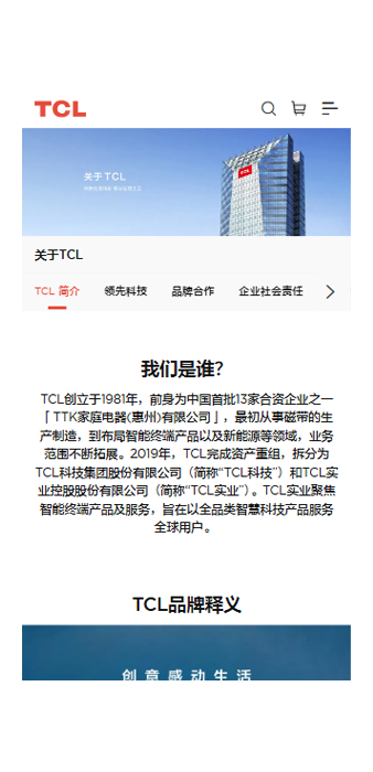TCL网站案例图片2