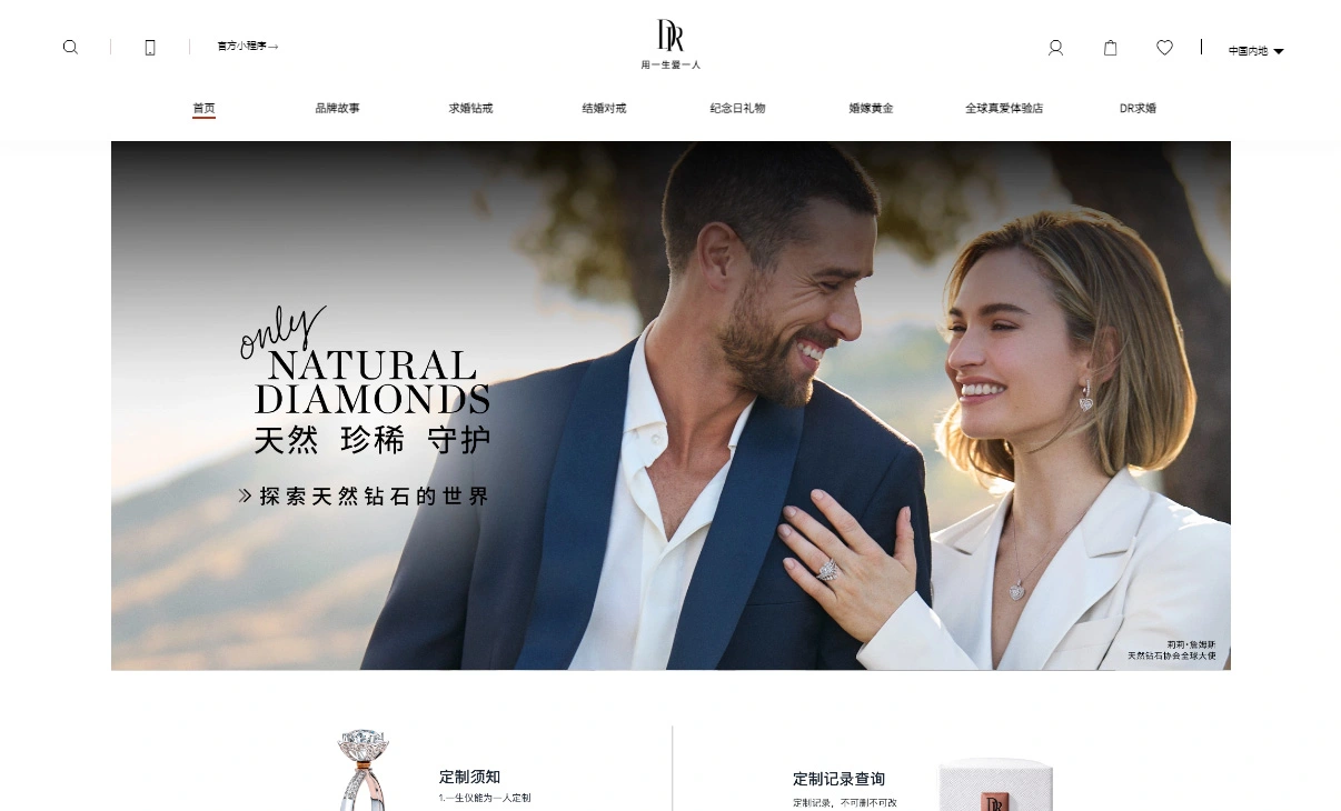 迪阿股份公司网站建设设计图